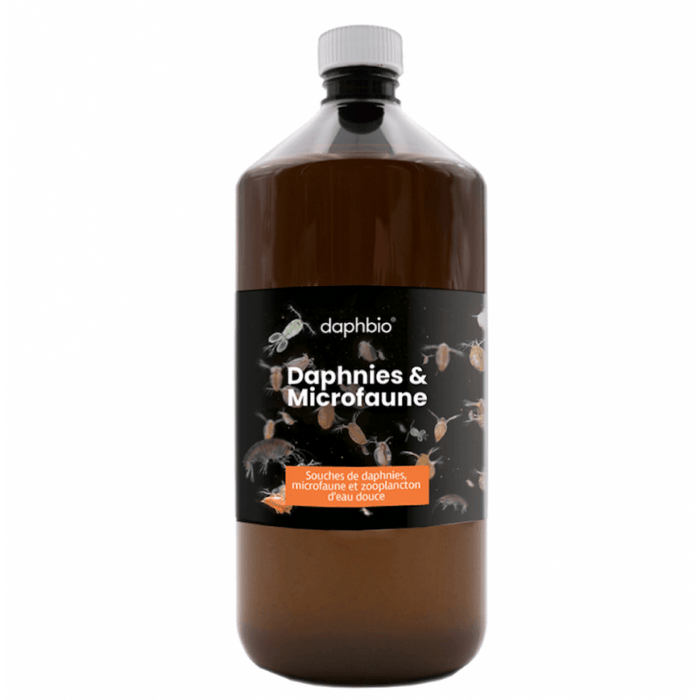DaphBio Daphnies Daphnies & Microfaune vivante 1L - DaphBio 3760300370308 DMV1000