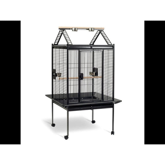 FDA SHOP NON-FOOD CAGE PERROQUET CARLA 5400351156084 15608
