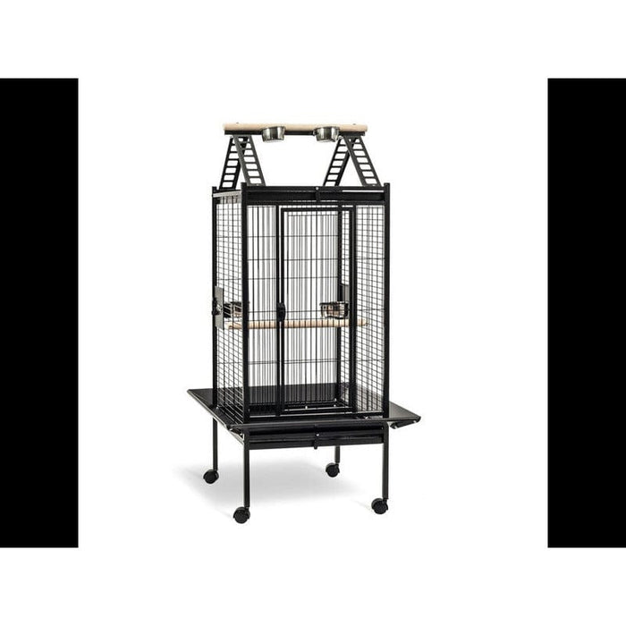 FDA SHOP NON-FOOD CAGE PERROQUET LUCIA 5400351156060 15606