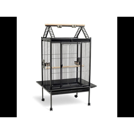 FDA SHOP NON-FOOD CAGE PERROQUET PAULA 5400351156077 15607