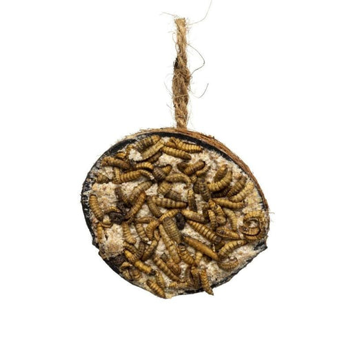 FDA SHOP FOOD DEMI NOIX DE COCO AVEC LARVES DE MOUCHES DE SOLDAT NOIR 250GR 5400351150068 15006