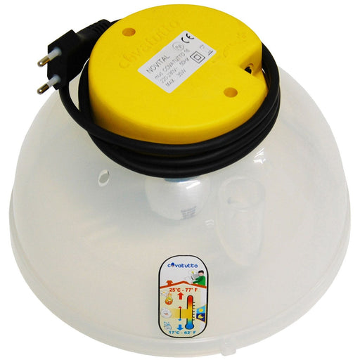 FDA SHOP NON-FOOD GROUPE ELECTRIQUE 16 8010213970979 24517