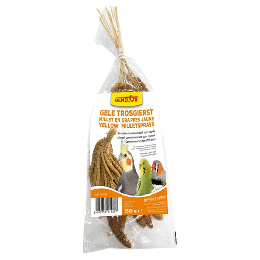 FDA SHOP FOOD MILLET EN GRAPPES 150G 5400351114367 1143006