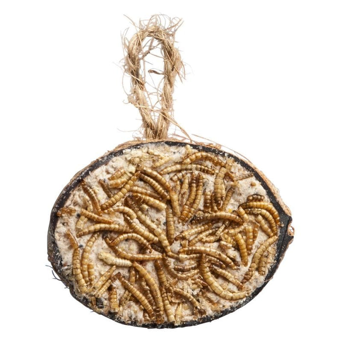 FDA SHOP FOOD MOITIÉ NOIX DE COCO AVEC DES VERS DE FARINE 5400351148980 14898