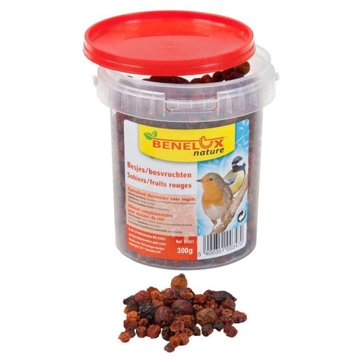 FDA SHOP FOOD SEAU SORBIERS/BAIES 300 GR POUR OISEAUX DU CIEL 5400351003470 17631