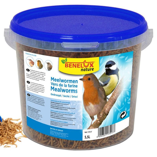 FDA SHOP FOOD VERS DE FARINE SEAU 5.5 L POUR OISEAUX DU CIEL 5400351175177 17517