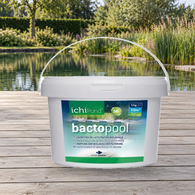 Mise en scène illustrative — BactoPool 5KG