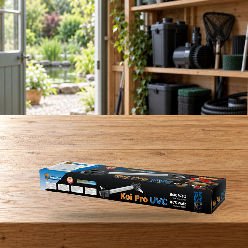 Mise en scène illustrative — Koi Pro RVS 75W