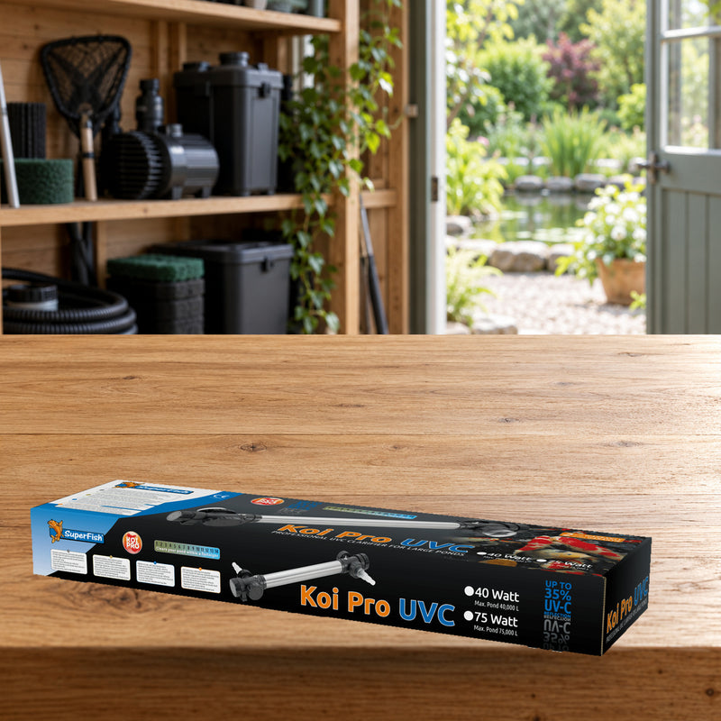 Mise en scène illustrative — Koi Pro RVS 75W
