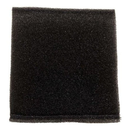Fluidra Filtre éponge pour RD465 8717605094977 RD462