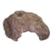 FOUDEBASSIN.COM ABRI ROCHE GRANDE ENTRÉE - XL 0701029829398 K82939