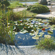 FOUDEBASSIN.COM Air® 2000 Indoor - pompe d'aération 8711465550765 1355076
