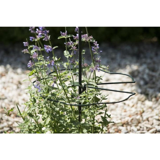 FOUDEBASSIN.COM Anneau en acier galvanisé époxy vert cercle centré festonné (Ø4,5 mm) pour tuteur-coupleur - Ø30 cm 8711338403327 6040332