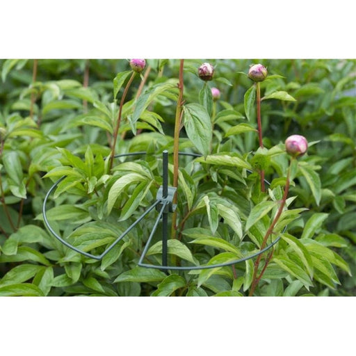 FOUDEBASSIN.COM Anneau en acier galvanisé époxy vert cercle centré (Ø4,5 mm) pour tuteur-coupleur - Ø40 cm 8711338403310 6040331