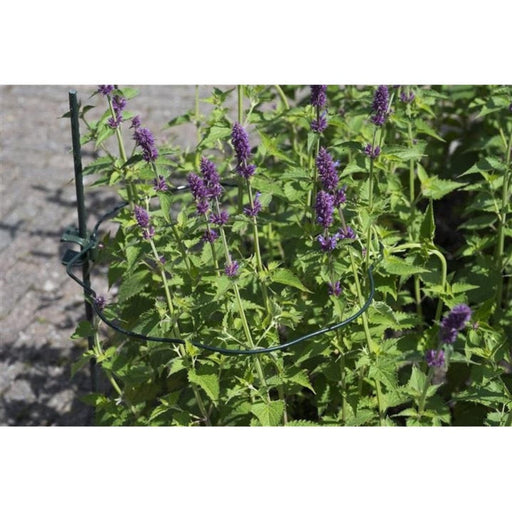 FOUDEBASSIN.COM Anneau en acier galvanisé époxy vert cercle (Ø4,5 mm) festonné pour tuteur-coupleur - Ø38 cm 8711338403372 6040337