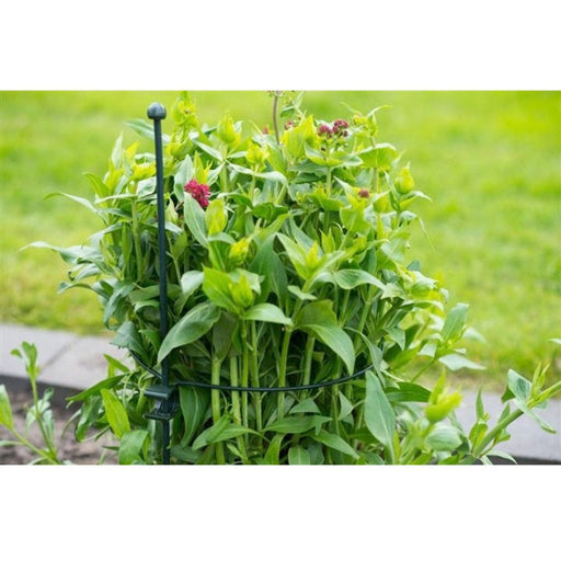 FOUDEBASSIN.COM Anneau en acier galvanisé époxy vert cercle (Ø4,5 mm) pour tuteur-coupleur - Ø15 cm 8711338403112 6040311
