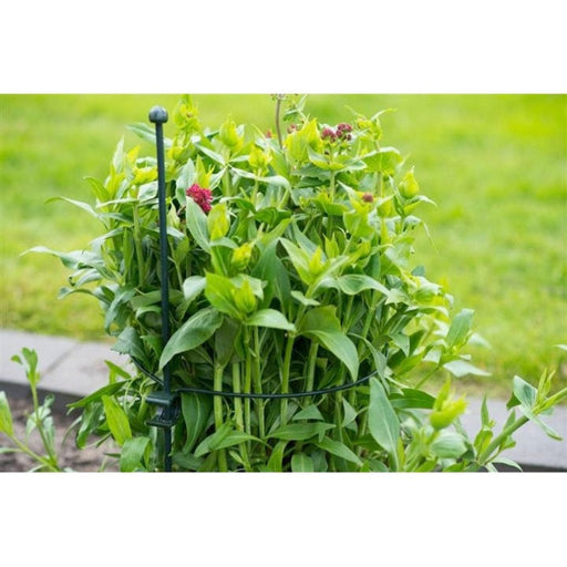 FOUDEBASSIN.COM Anneau en acier galvanisé époxy vert cercle (Ø4,5 mm) pour tuteur-coupleur - Ø32 cm 8711338403136 6040313