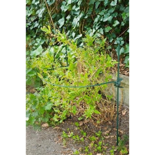 FOUDEBASSIN.COM Anneau en acier galvanisé époxy vert ½-cercle (Ø4,5 mm) pour tuteur-coupleur - Ø45 cm 8711338403150 6040315