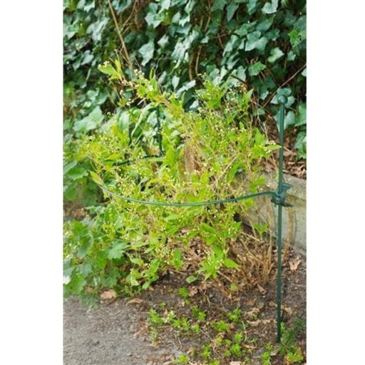 FOUDEBASSIN.COM Anneau en acier galvanisé époxy vert ½-cercle (Ø4,5 mm) pour tuteur-coupleur - Ø65 cm 8711338403167 6040316