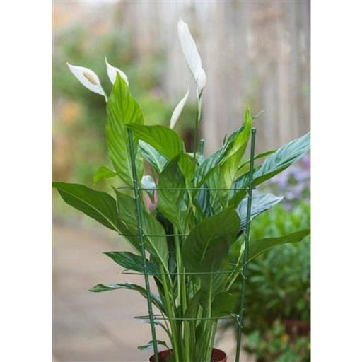 FOUDEBASSIN.COM Anneaux (4) de soutien acier galvanisé plastifié vert pour plantes à massifs - H90 cm x Ø7 mm (anneaux Ø29,5-28-27-22 mm) 8711338403419 6040341