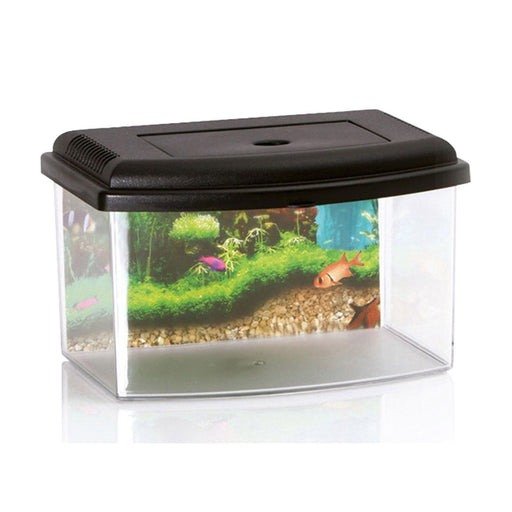 FOUDEBASSIN.COM AQUABOX 5.5L AVEC POSTER/COUVERCLE 8016040106369 44174