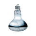 FOUDEBASSIN.COM ARCADIA 2ND GENERATION UV BASKING LAMP 100 W 0844046013262 R2100255
