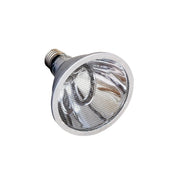 FOUDEBASSIN.COM ARCADIA DEEP HEAT PROJECTOR 80 WATT 5060127655458 R2100100