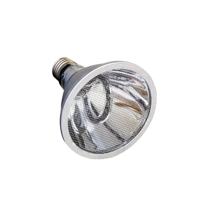 FOUDEBASSIN.COM ARCADIA DEEP HEAT PROJECTOR 80 WATT 5060127655458 R2100100
