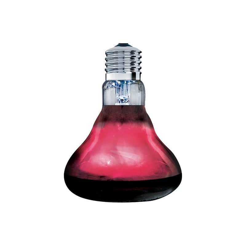 FOUDEBASSIN.COM ARCADIA INFRARED BASKING SPOT 150 WATT 0844046012074 R2100185