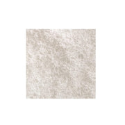 FOUDEBASSIN.COM ARCADIA POLYFILTER XL 30X30 CM 0844046007322 A8040555