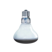 FOUDEBASSIN.COM ARCADIA SOLAR BASKING FLOODLIGHT 100 WATT 0844046011275 R2100125