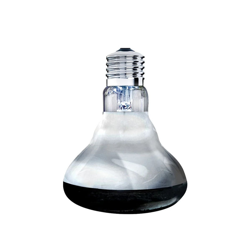 FOUDEBASSIN.COM ARCADIA SOLAR BASKING SPOTLIGHT 100 WATT 0844046011305 R2100145