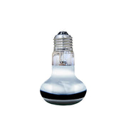 FOUDEBASSIN.COM ARCADIA SOLAR BASKING SPOTLIGHT 50 WATT 0844046011282 R2100135