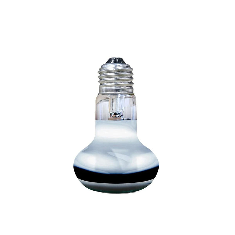 FOUDEBASSIN.COM ARCADIA SOLAR BASKING SPOTLIGHT 75 WATT 0844046011299 R2100140