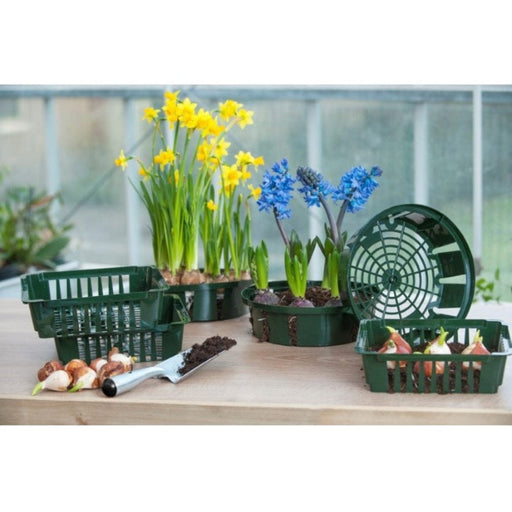 FOUDEBASSIN.COM Bacs à bulbes - H7,5 x Ø26 cm - 3 x 8711338201015 6020101