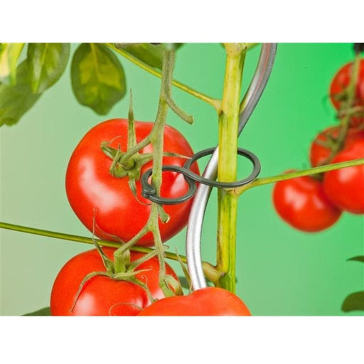 FOUDEBASSIN.COM Bague de tuteurage à tomates - Ø20 + Ø35 = Ø65 mm - 25 x 8711338404409 6040440