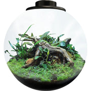 FOUDEBASSIN.COM BIOART BOWL 225 BLACK 8715897349485 A4056020