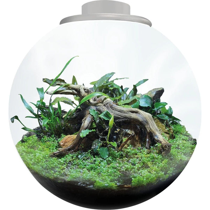 FOUDEBASSIN.COM BIOART BOWL 225 WHITE 	8715897349478 A4056015