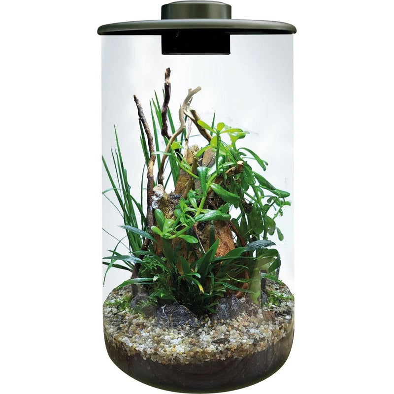 FOUDEBASSIN.COM BIOART CYLINDER 285 BLACK 	8715897349461 A4056010