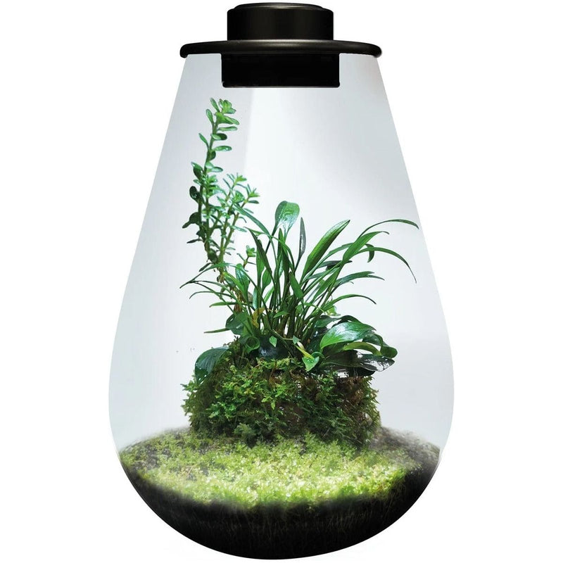 FOUDEBASSIN.COM BIOART DROP 285 BLACK 8715897349508 A4056030