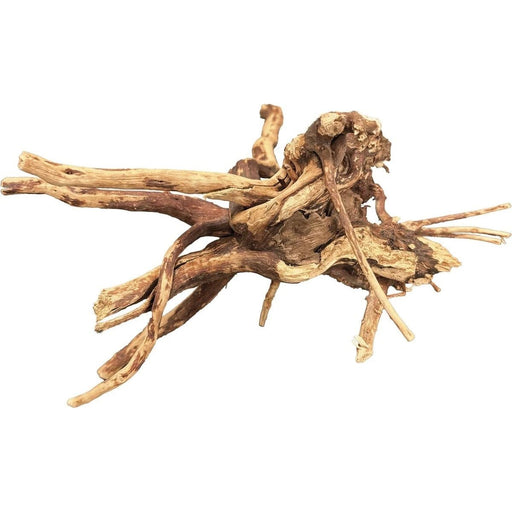 FOUDEBASSIN.COM BIOART SPIDER WOOD 10-15 CM 	8715897349690 A4056250