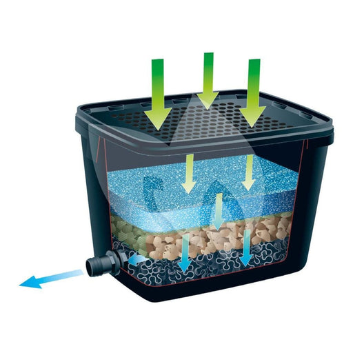 FOUDEBASSIN.COM BioPure® 2000 Basic-Set - filtre à immersion biomécanique avec couvercle de filtre perforé - corps du filtre 16l, pompe Elimax® 1000, mousse filtrante bleue 20ppi, matériaux filtrants (mixte) +/- 2kg et biosurfaces +/- 21 pcs, filets 2x, raccordement : tu 8711465550147 1355014