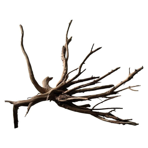 FOUDEBASSIN.COM BLACK SPIDER WOOD MEDIUM 8715897342417 A4080385