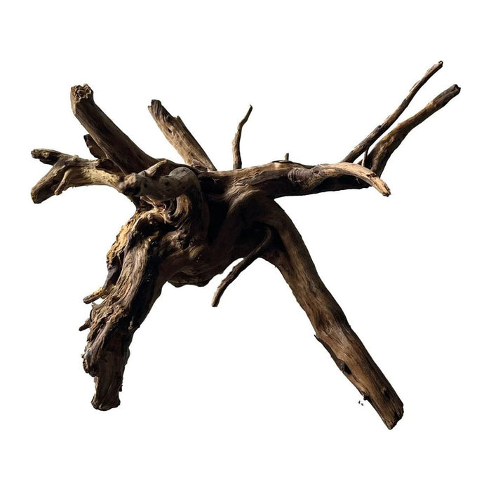 FOUDEBASSIN.COM BLACK SPIDER WOOD SMALL 8715897342400 A4080380