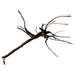 FOUDEBASSIN.COM BLACK SPIDER WOOD X-LARGE 8715897342431 A4080395