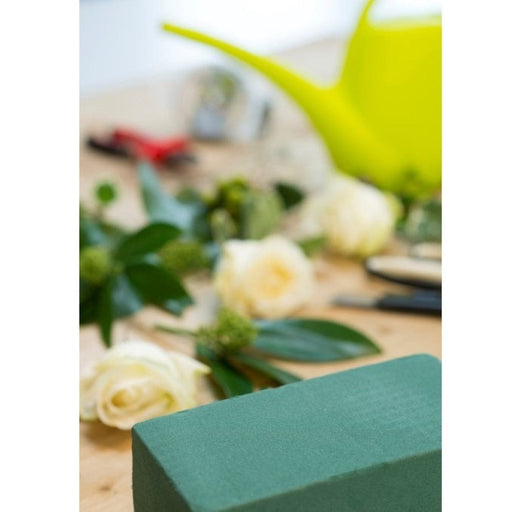 FOUDEBASSIN.COM Bloc de mousse verte pour usage humide - H7,5 x 20 x 10 cm 8711338212028 6021202