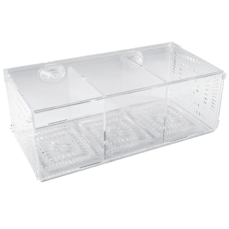 FOUDEBASSIN.COM BM FISH ISOLATION BOX 30X15X15 CM 8715897273155 N7090339