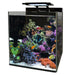 FOUDEBASSIN.COM BM REEF 90 AQUARIUM 8715897320705 N4055350