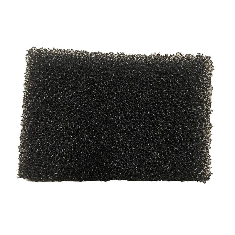 FOUDEBASSIN.COM BM SKIM 100 EXCHANGE SPONGE 8715897261213 N7050525