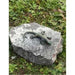 FOUDEBASSIN.COM Bronze Eidechse auf Granitfindling 5478401790 991332